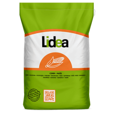 Насіння кукурудзи Шамбері КС, ФАО 300, Lidea