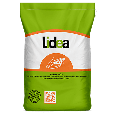 Насіння кукурудзи Олкані, ФАО 340, Lidea