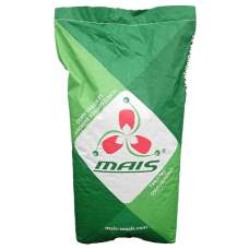 Насіння кукурудзи Сплав МС 290, ФАО 290, Mais