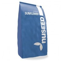 Насіння соняшнику Н5Л301, Nuseed ( під Євролайтінг )