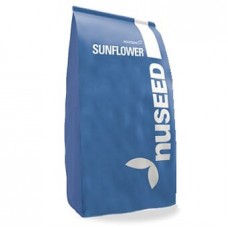 Насіння соняшнику Х4334, Nuseed ( під Євролайтінг )