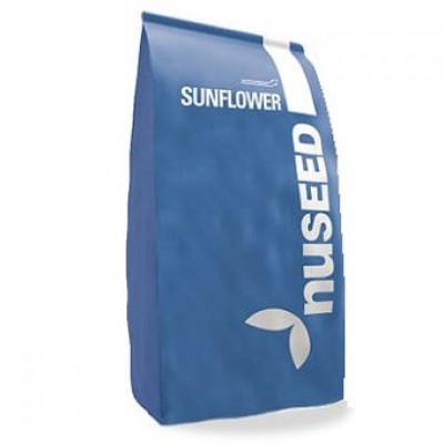 Насіння соняшнику Х4219, Nuseed ( під Гранстар )