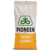 Семена кукурузы П8567, ФАО 290, Pioneer
