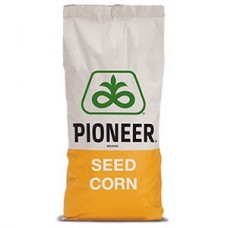 Насіння кукурудзи П9978 AQ, ФАО 390, Pioneer