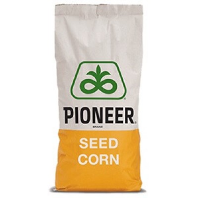 Семена кукурузы П8816, ФАО 300, Pioneer