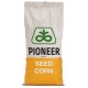 Семена кукурузы П9537, ФАО 390, Pioneer