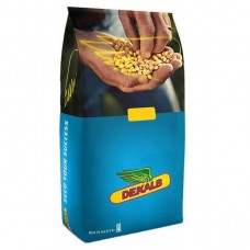 Насіння кукурудзи ДКС5141, ФАО 430, Monsanto (Dekalb)