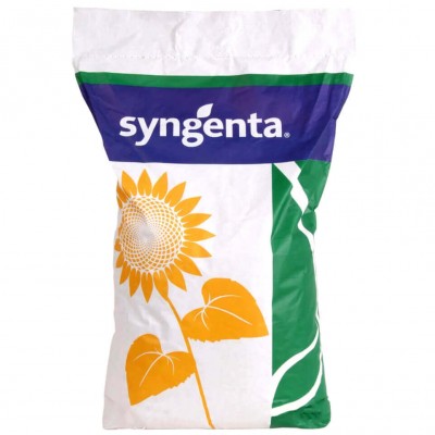 Насіння соняшнику СІ Мічіган КЛП, Syngenta (під Евролайтінг Плюс)