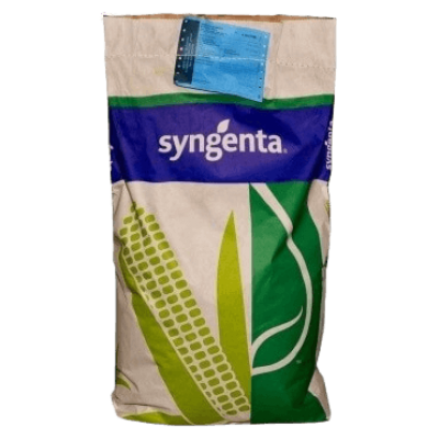Насіння кукурудзи СИ Фотон, ФАО 260, Syngenta